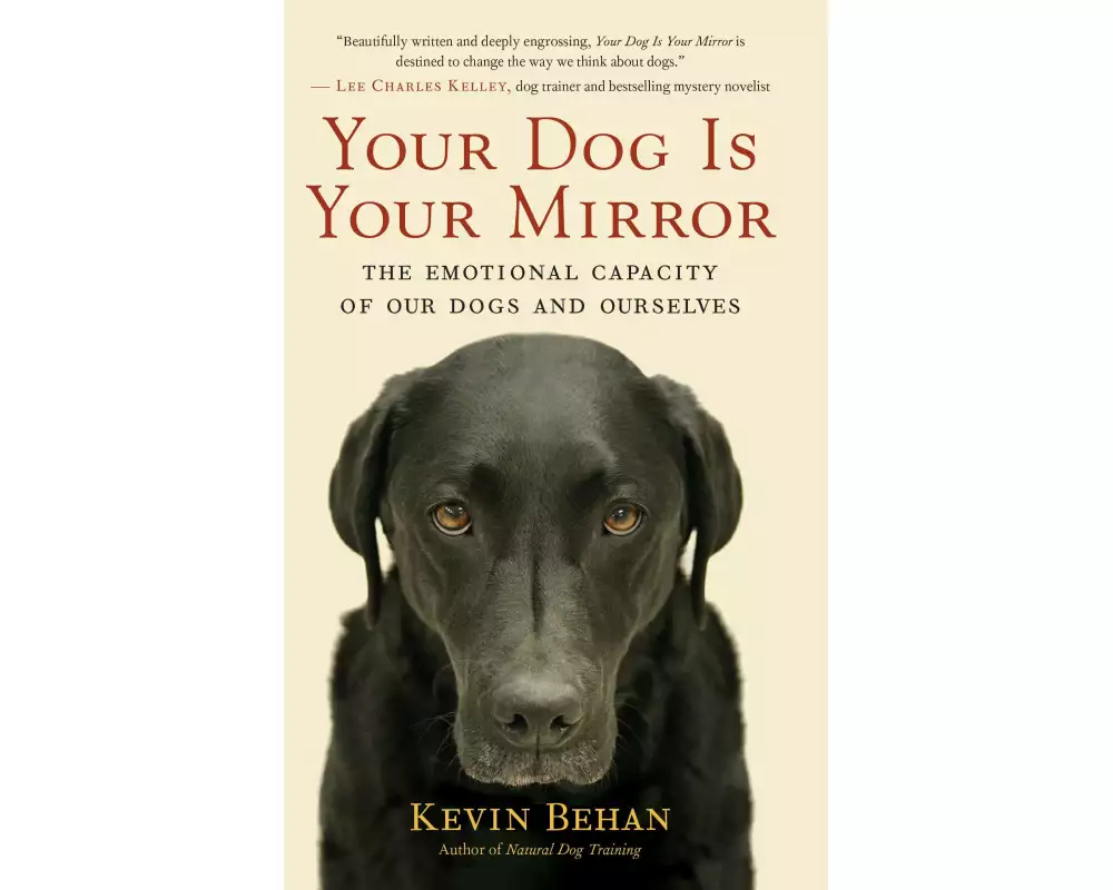 Your Dog Is Your Mirror