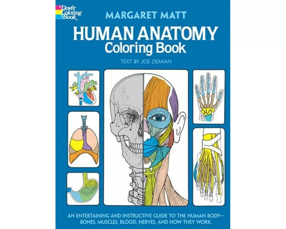 Human Anatomy Coloring Book