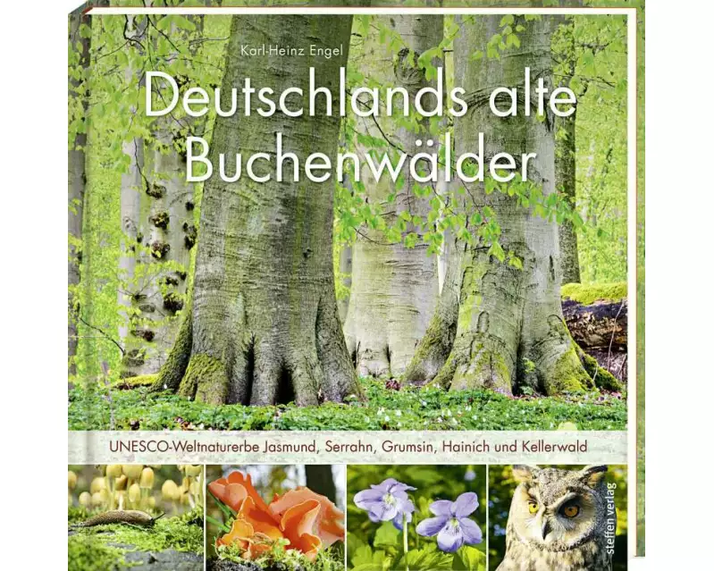 Deutschlands alte Buchenwälder