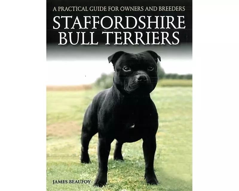 Staffordshire Bull Terriers