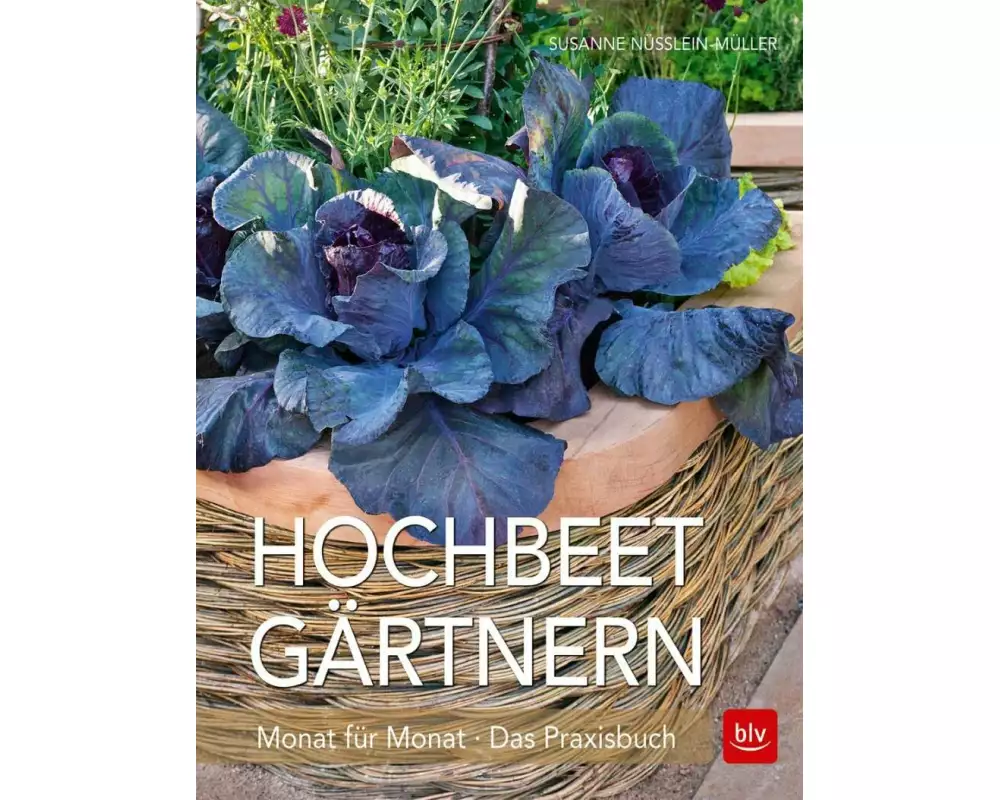 Hochbeet-Gärtnern Monat für Monat