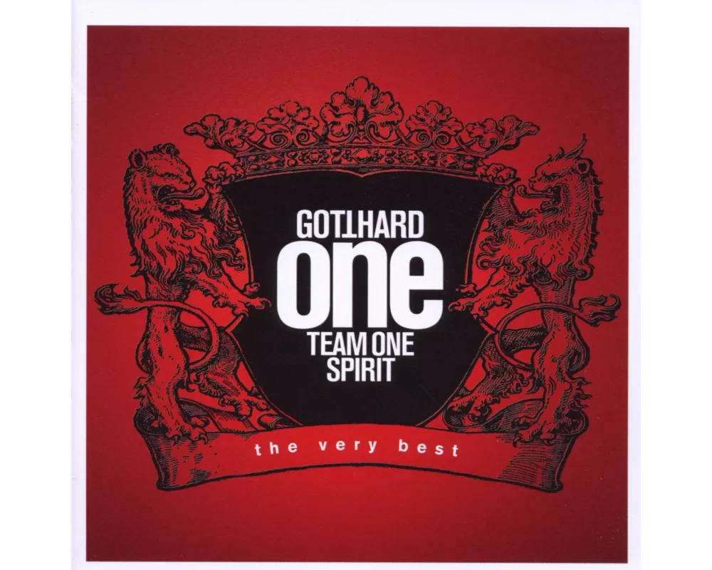 One Team One Spirit