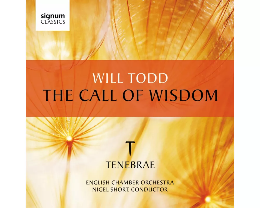 The Call of Wisdom