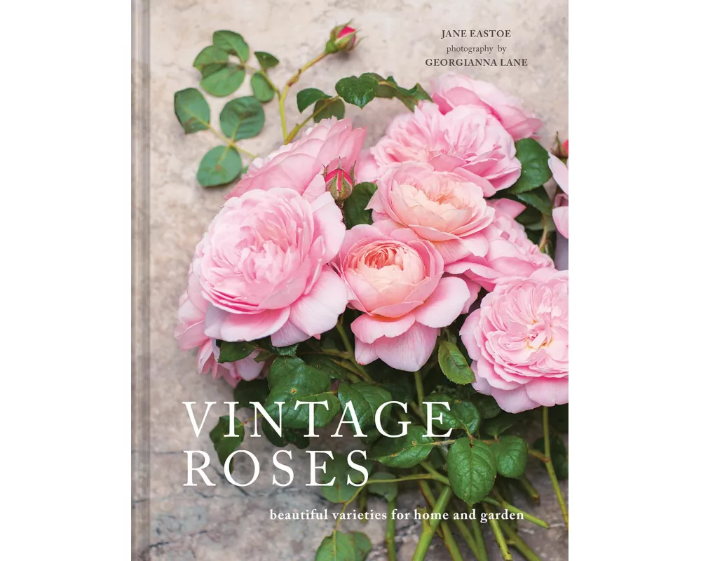 Vintage Roses