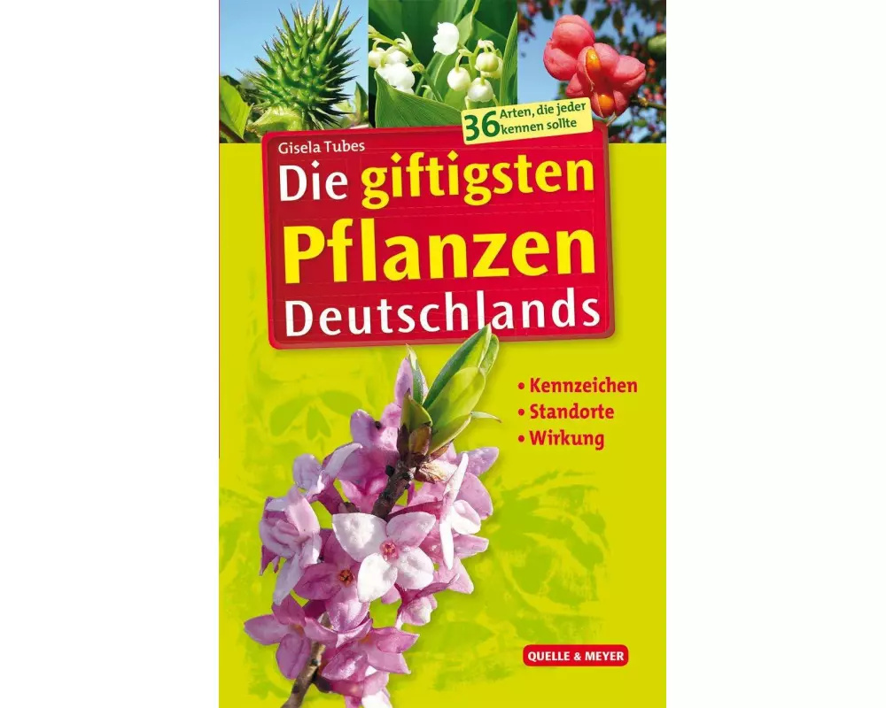 Die giftigsten Pflanzen Deutschlands