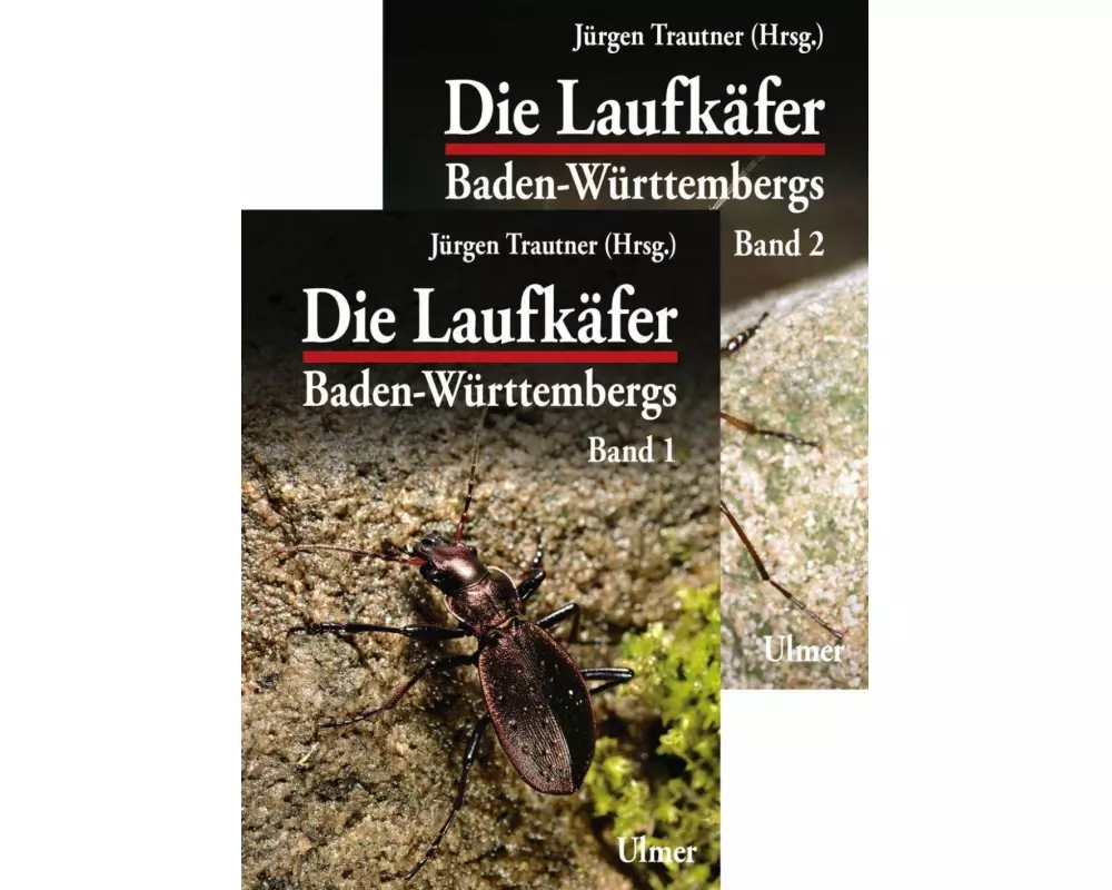 Die Laufkäfer Baden-Württembergs