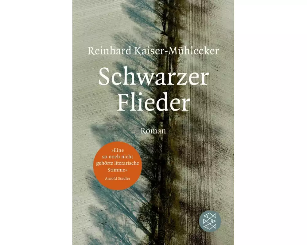 Schwarzer Flieder