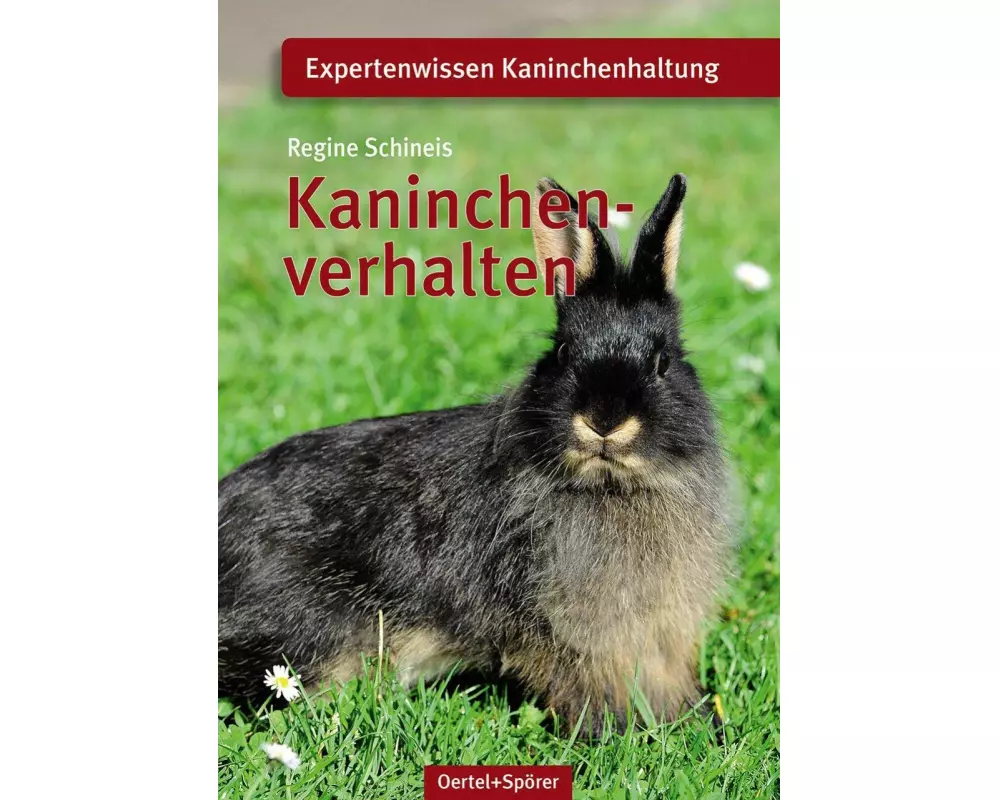 Kaninchenverhalten