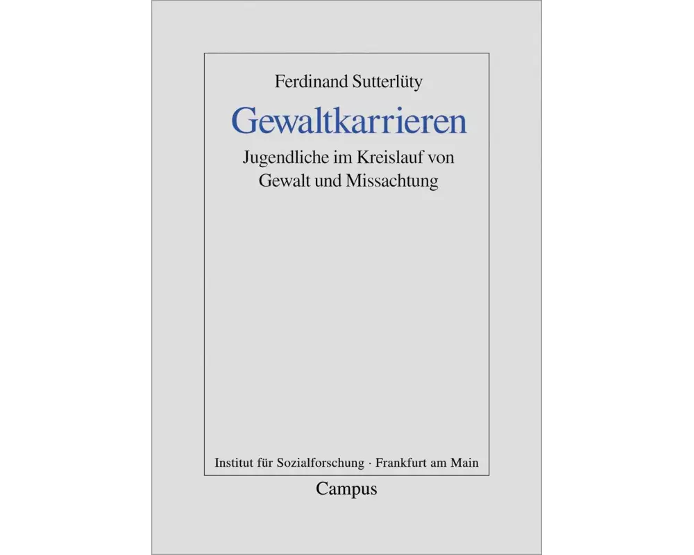 Gewaltkarrieren