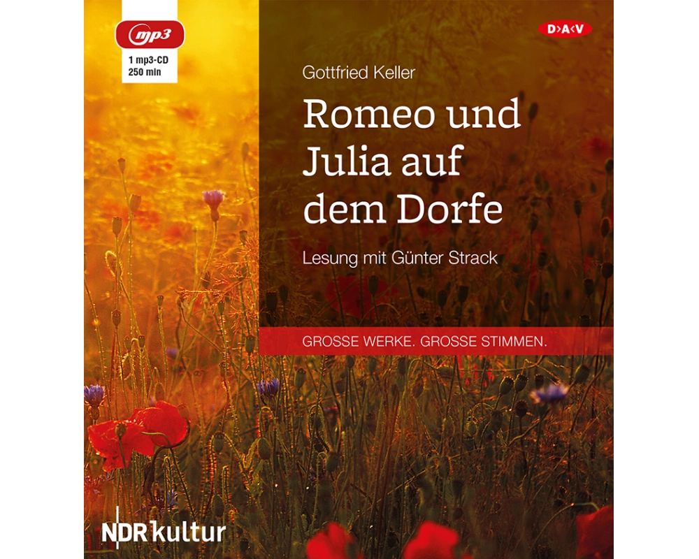Romeo und Julia auf dem Dorfe