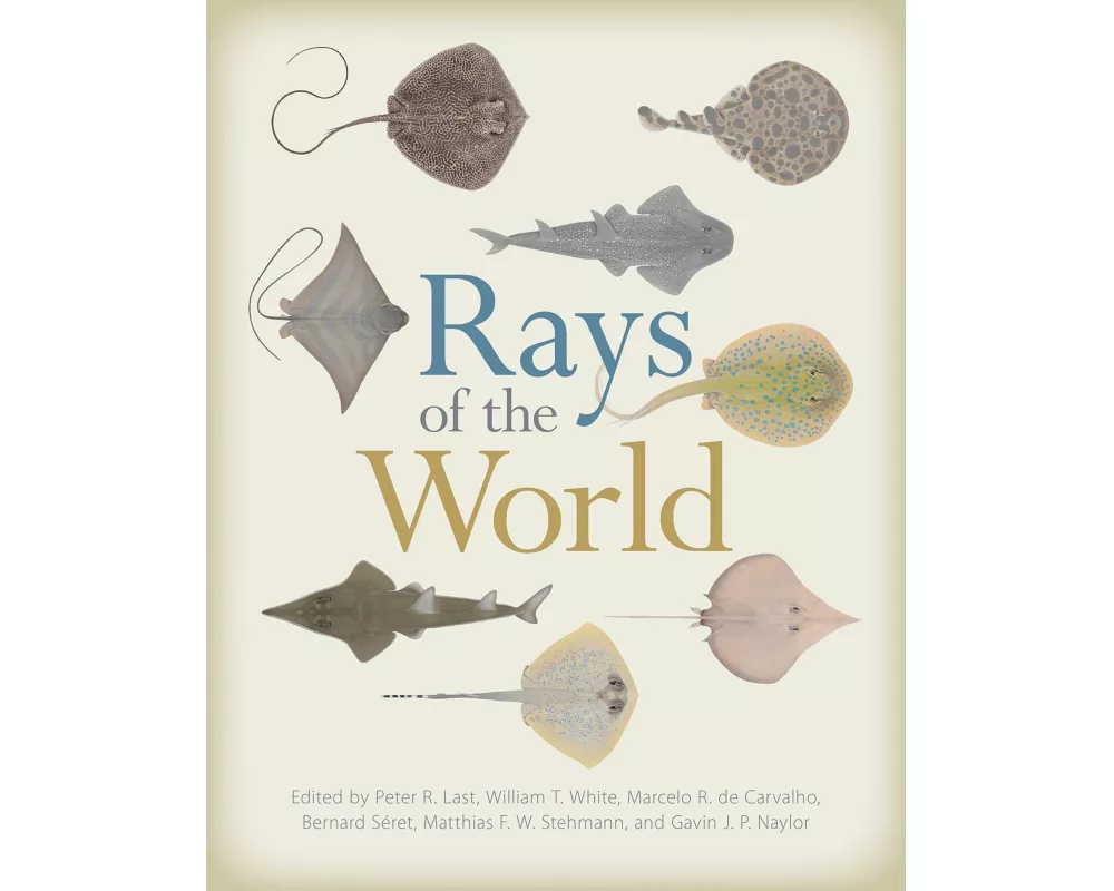 Rays of the World