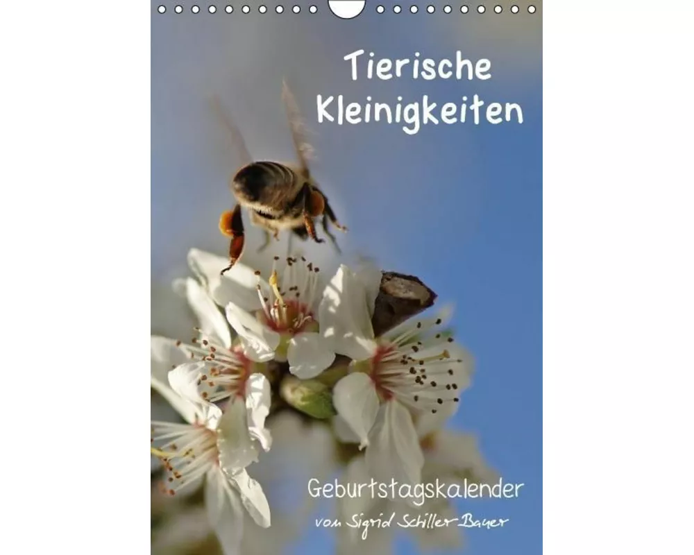Tierische Kleinigkeiten / Geburtstagskalender (Wandkalender immerwährend DIN A4 hoch)