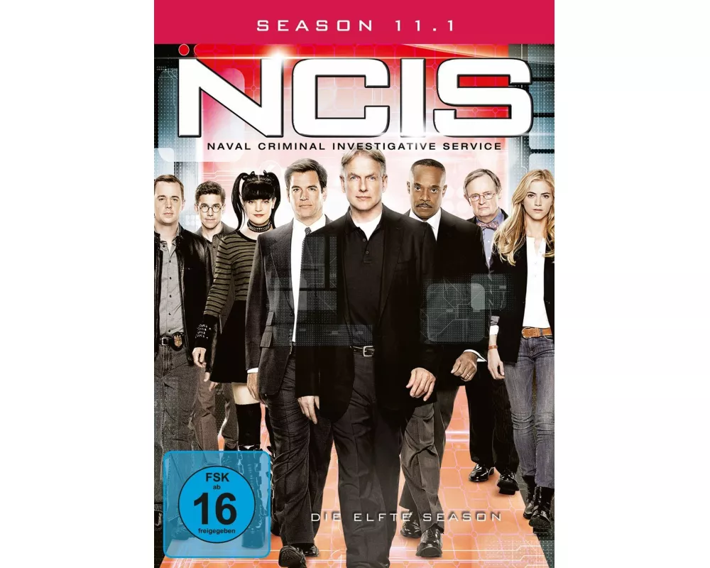 Navy CIS - Season 11.1