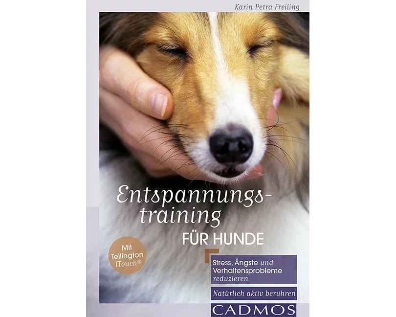 Entspannungstraining für Hunde