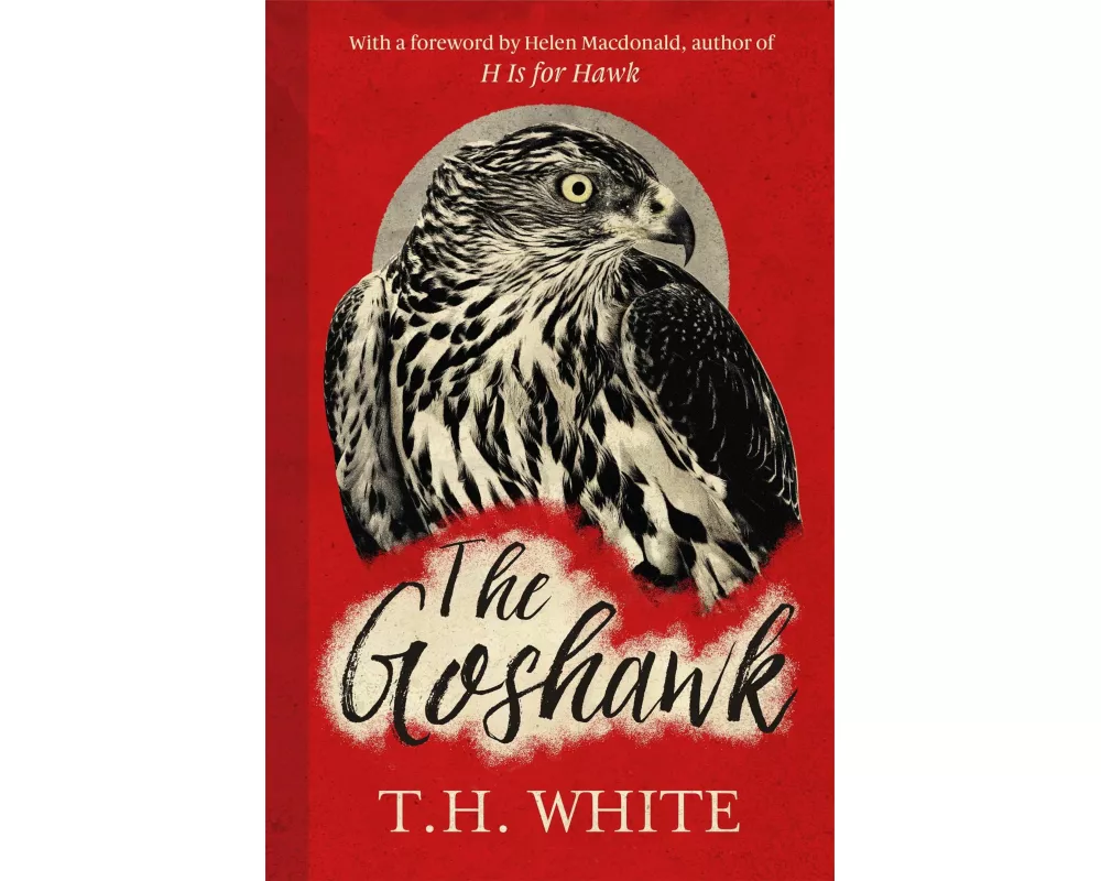 The Goshawk