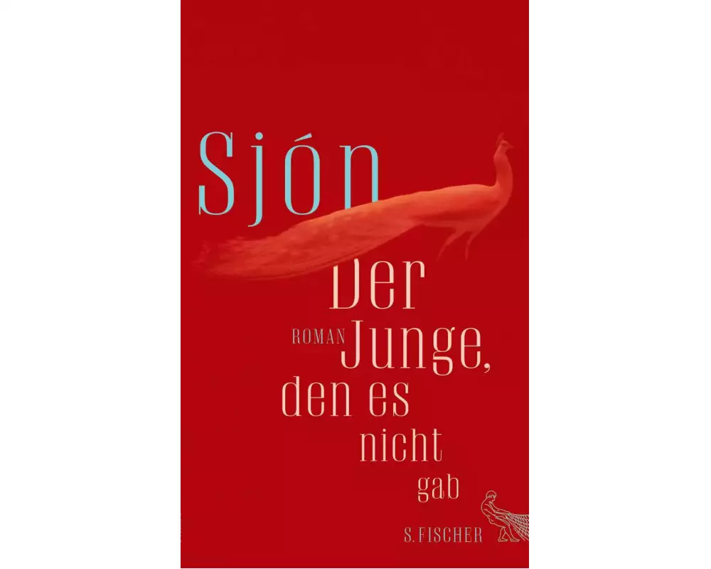 Der Junge, den es nicht gab