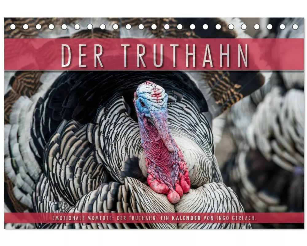 Emotionale Momente: Der Truthahn. (Tischkalender 2026 DIN A5 quer), CALVENDO Monatskalender