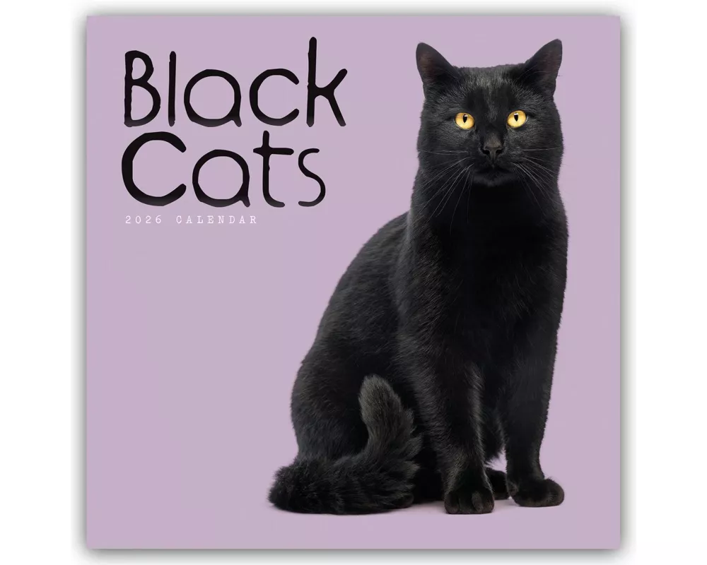 Black Cats Square Wall Calendar 2026