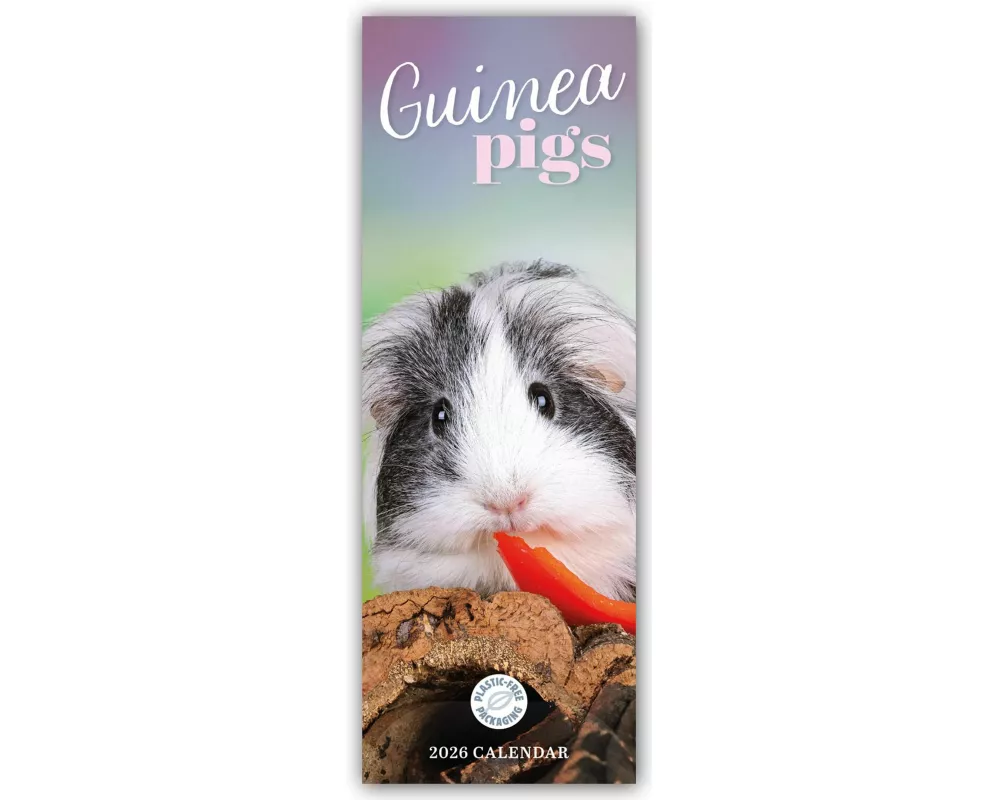 Guniea Pigs - Meerschweinchen 2026 - Slimline-Kalender