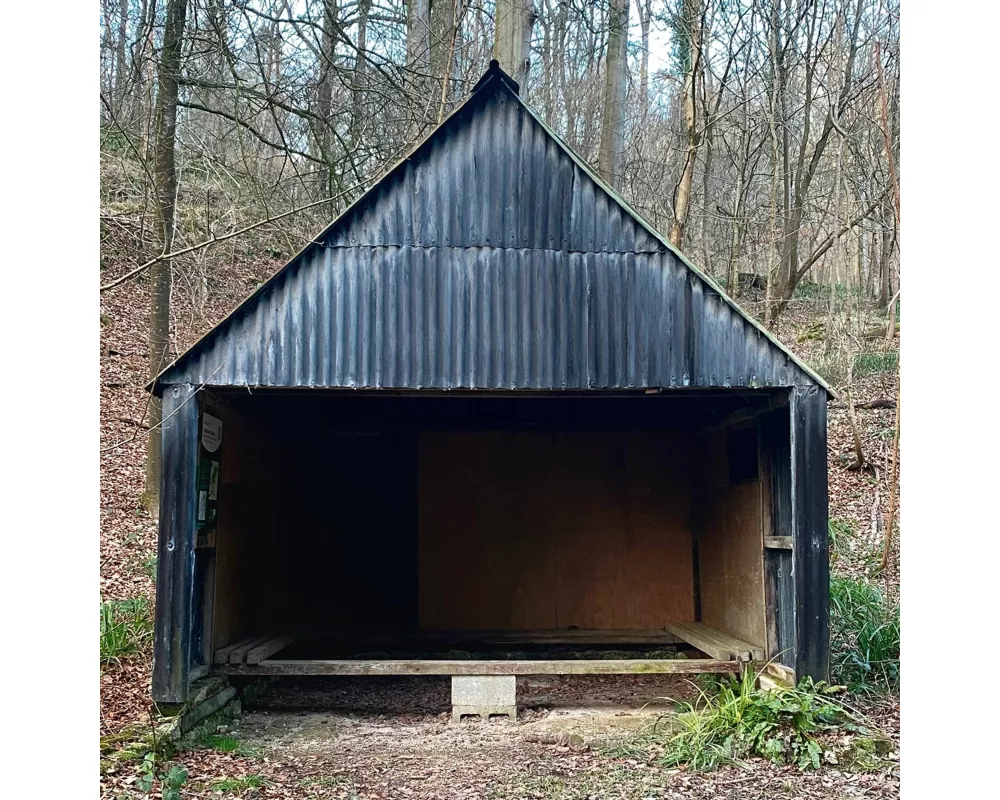 Waiting Room - Volume 2