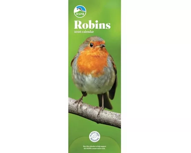 Rspb Robins Slim Calendar 2026