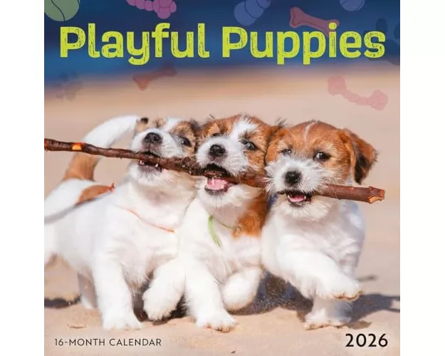 Playful Puppies
