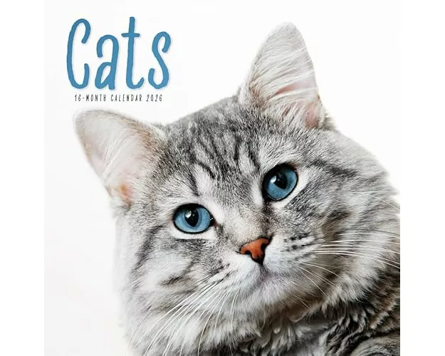 Cats Square Wall Calendar 2026