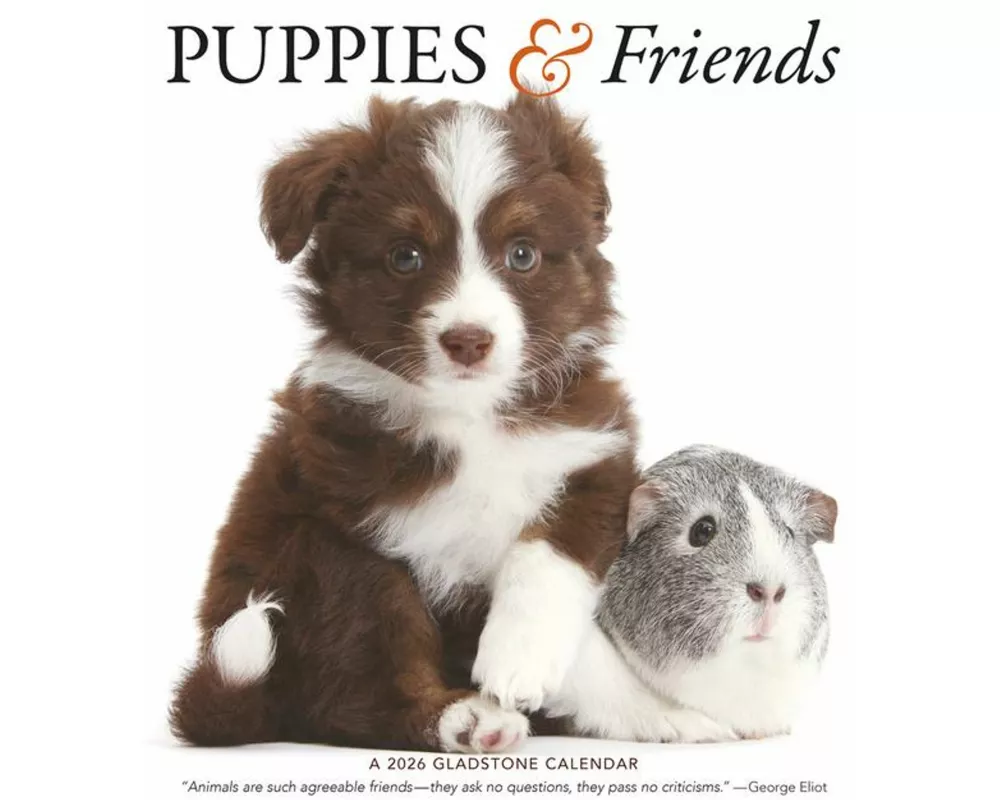Puppies & Friends