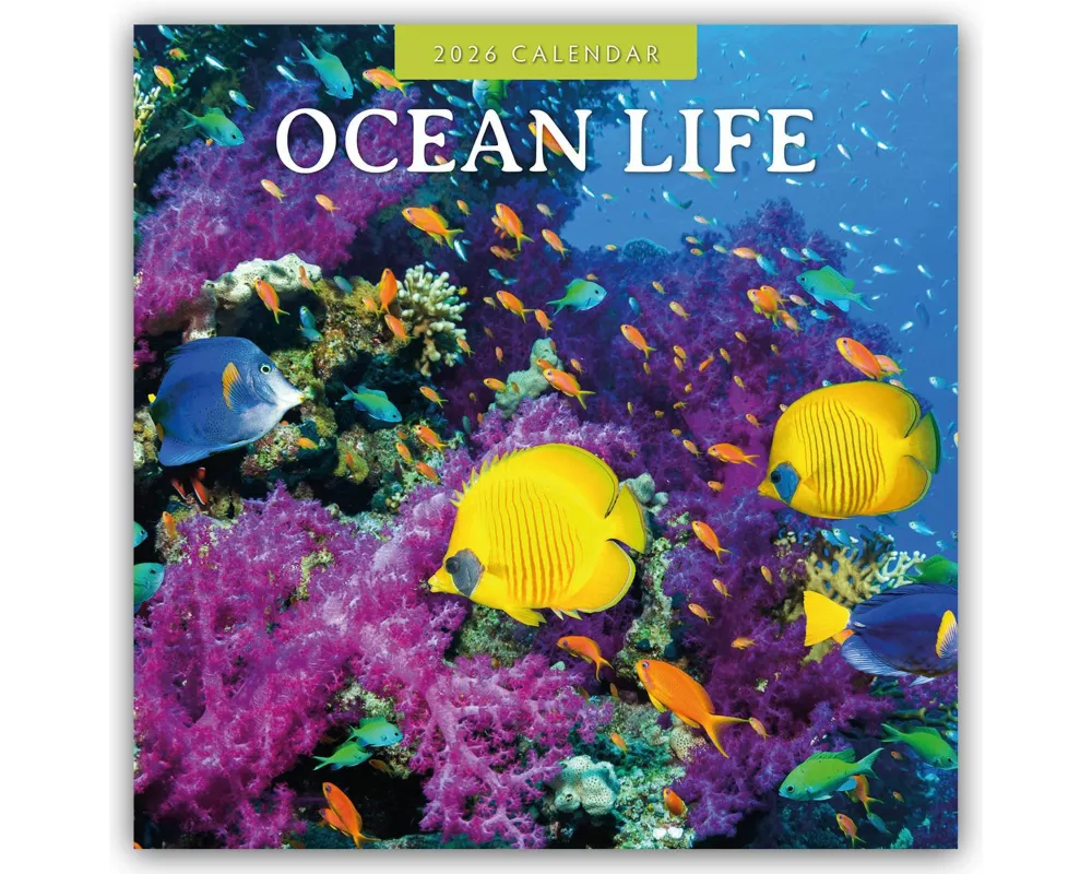 Ocean Life 2026 Square Wall Calendar