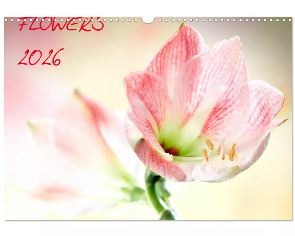 Flowers / 2026 (Wandkalender 2026 DIN A3 quer), CALVENDO Monatskalender