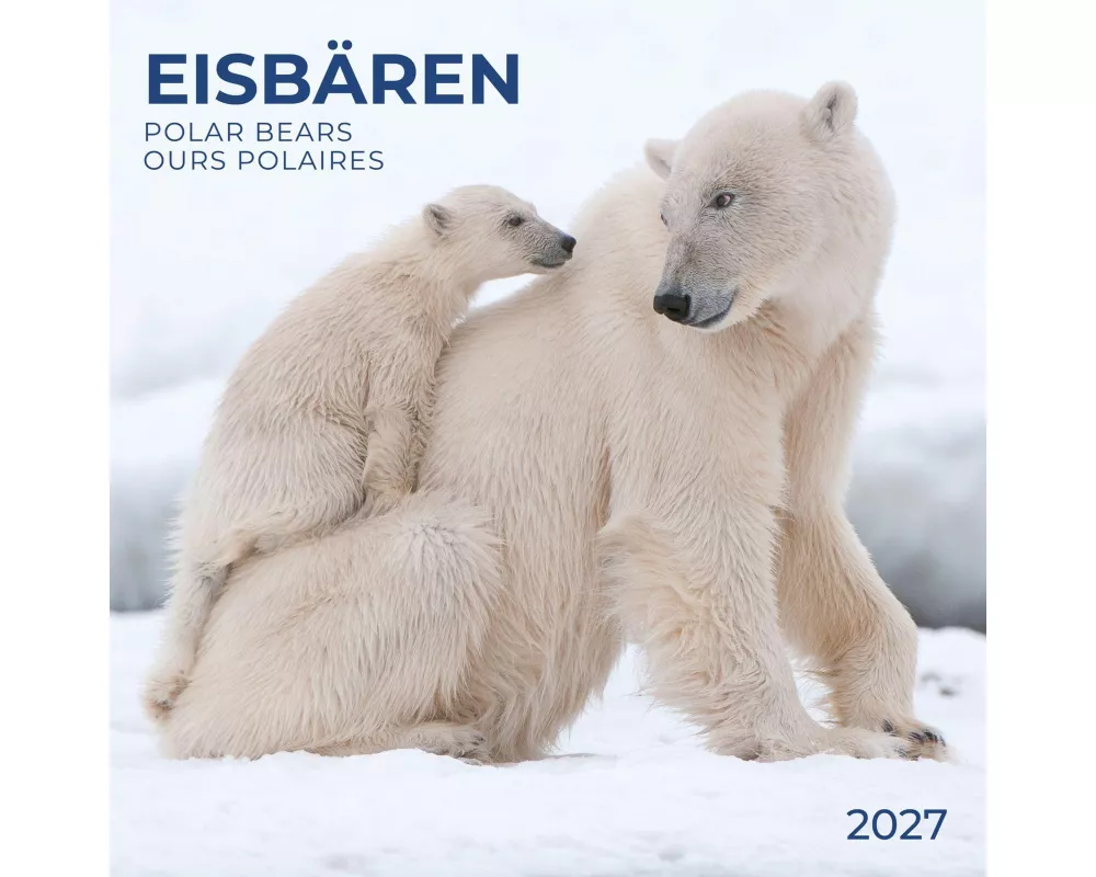 Eisbären / Polar Bears 2027