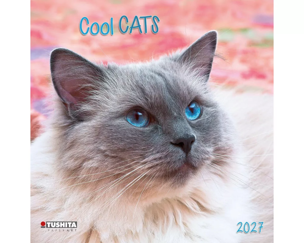 Cool Cats 2027