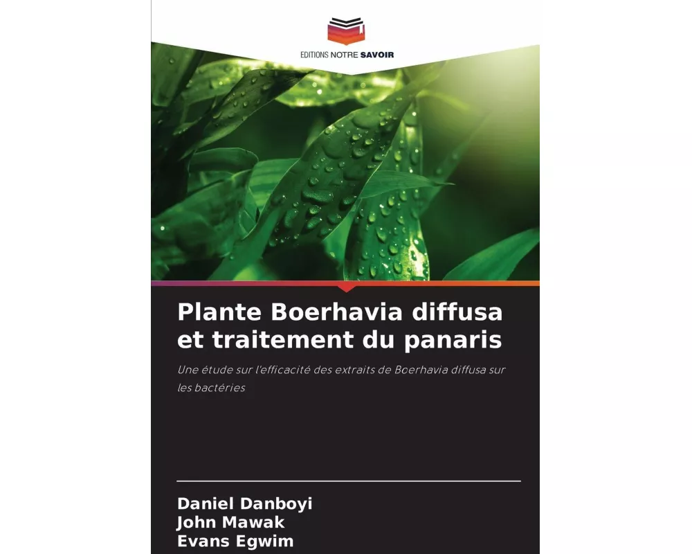 Plante Boerhavia diffusa et traitement du panaris