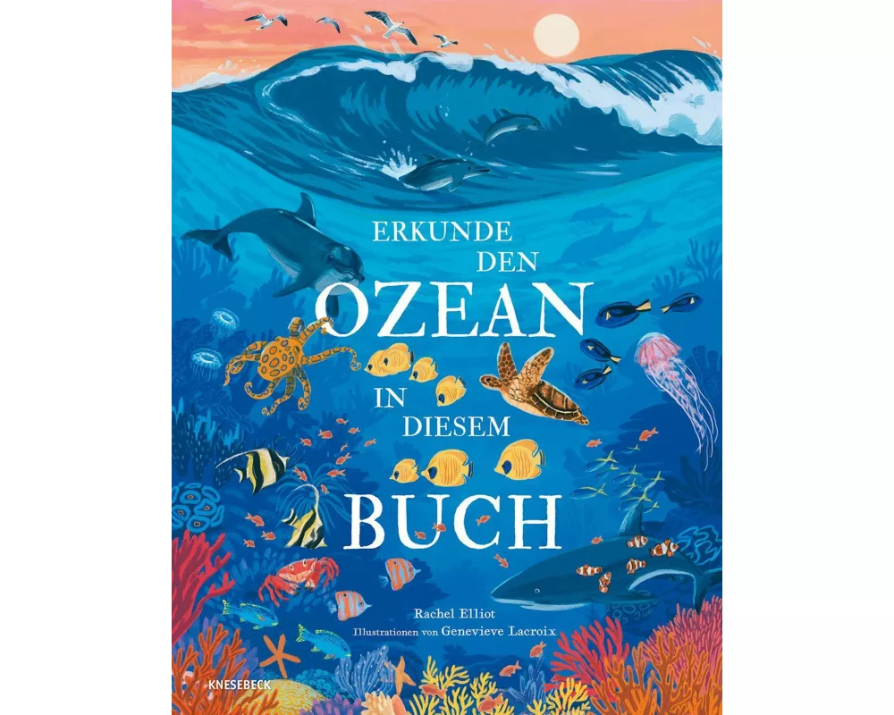 Erkunde den Ozean in diesem Buch