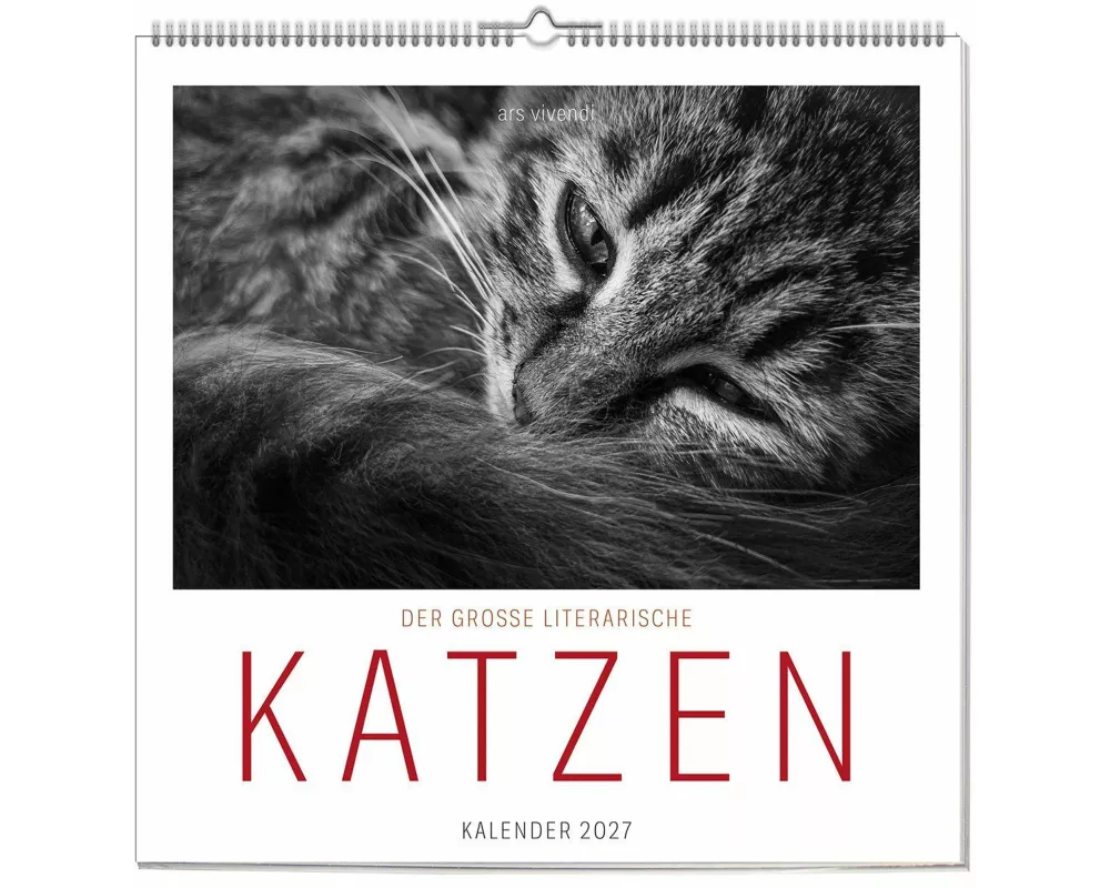 Der grosse literarische Katzen Kalender 2027