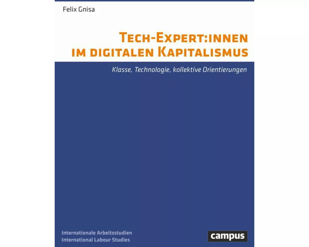 Tech-Expert:innen im digitalen Kapitalismus