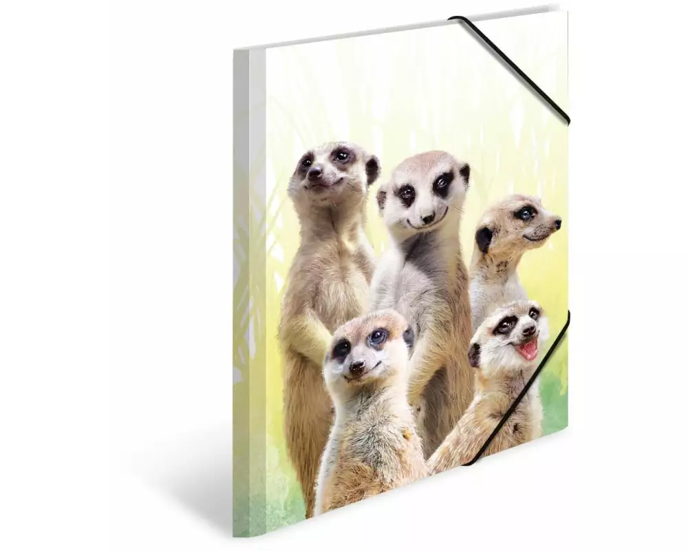 HERMA Gummibandmappe Erdmännchen A3, Mehrfarbig