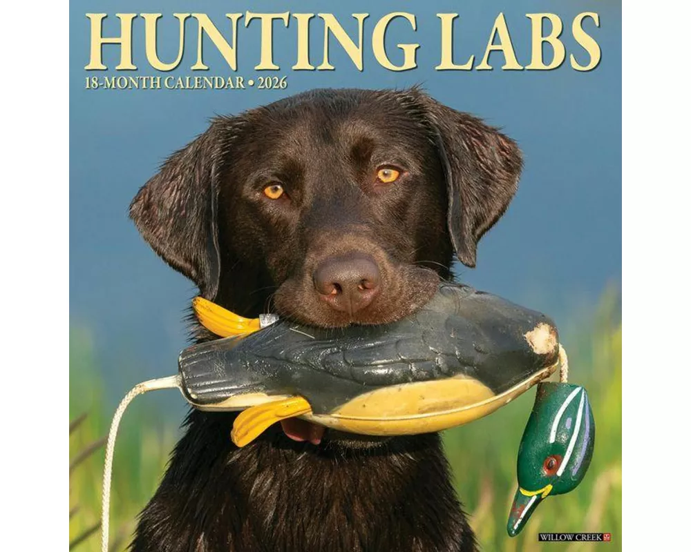 Hunting Labs 2026 12 X 12 Wall Calendar