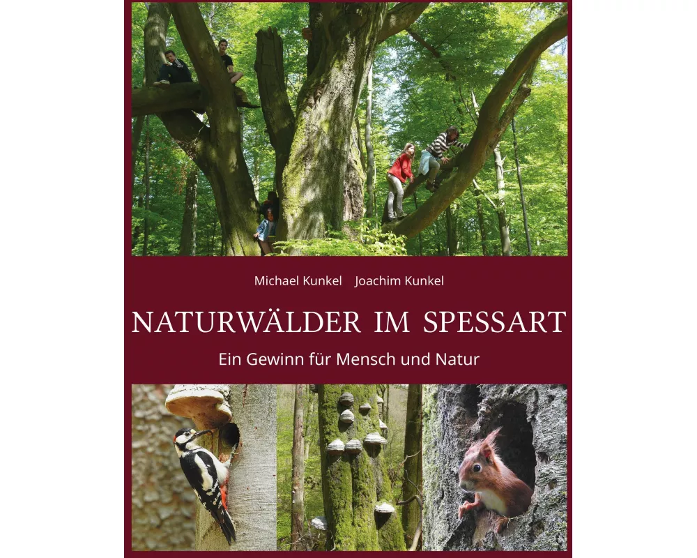 Naturwälder im Spessart