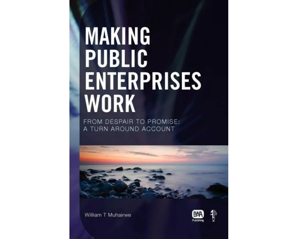 Making Public Enterprises Work