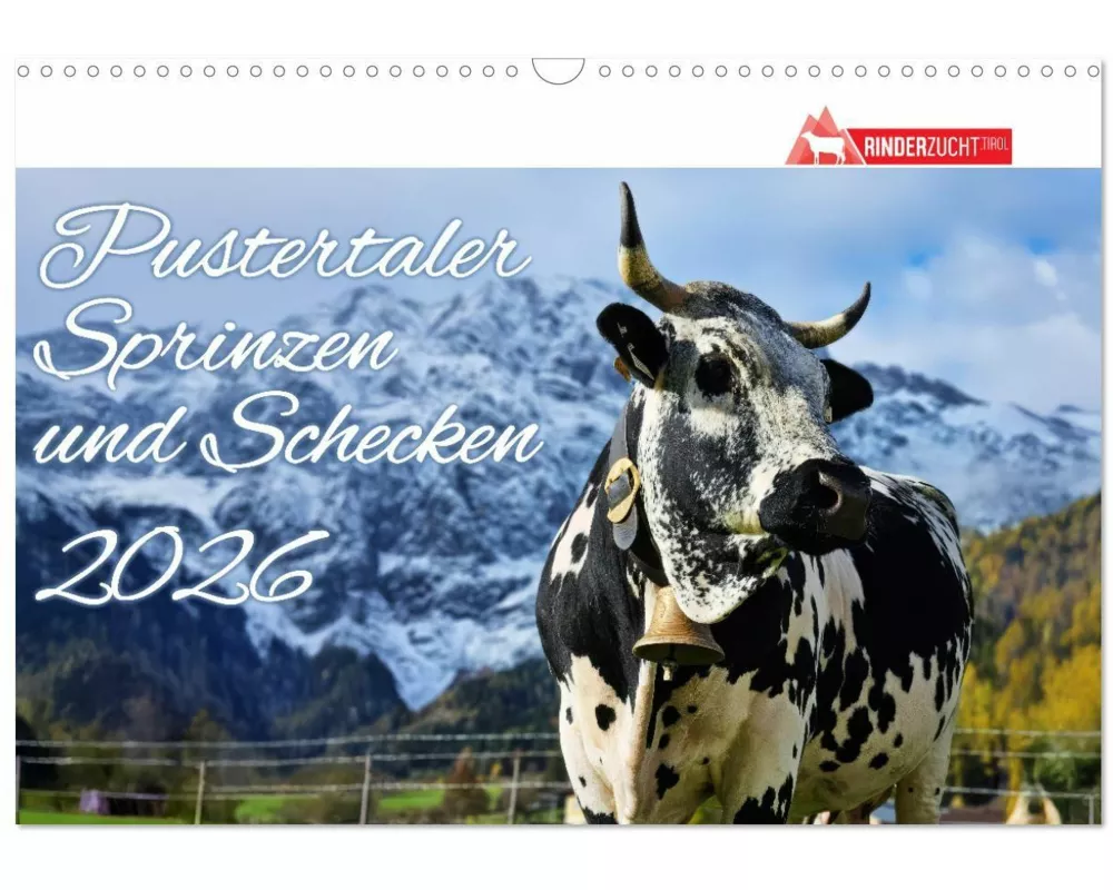 Pustertaler Sprinzen und Schecken 2026 (Wandkalender 2026 DIN A3 quer), CALVENDO Monatskalender