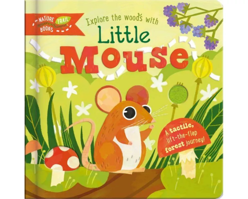 Explore the Woods with Little Mouse