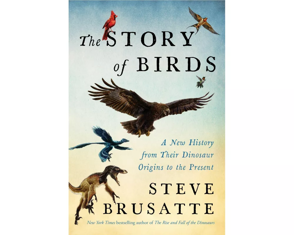 The Story of Birds