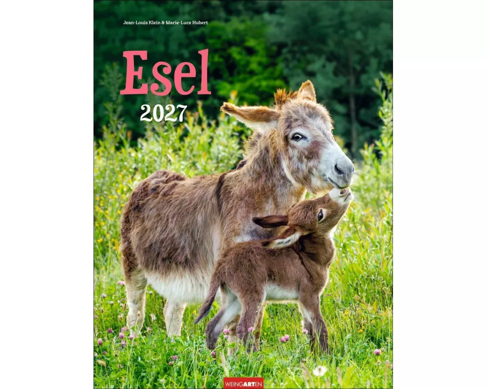 Esel Kalender 2027