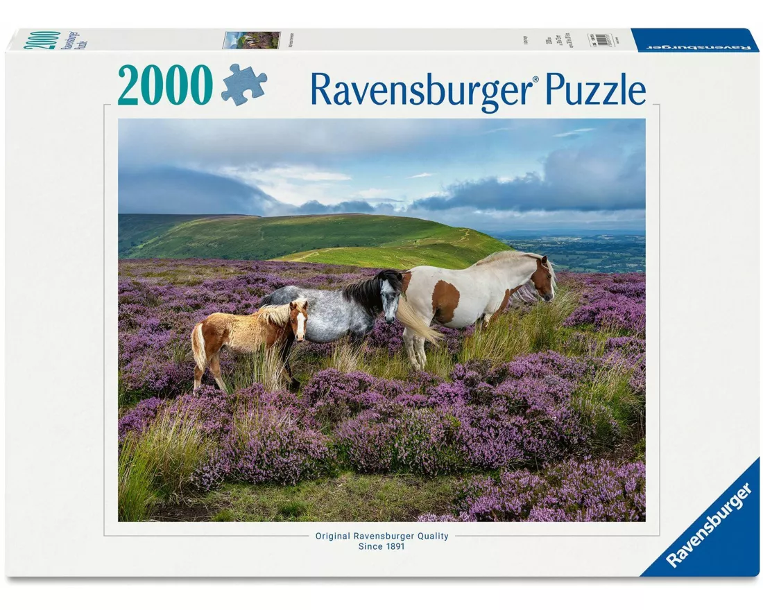 Erwachsenenpuzzle 2000 Teile - Wildpferde in der Heide