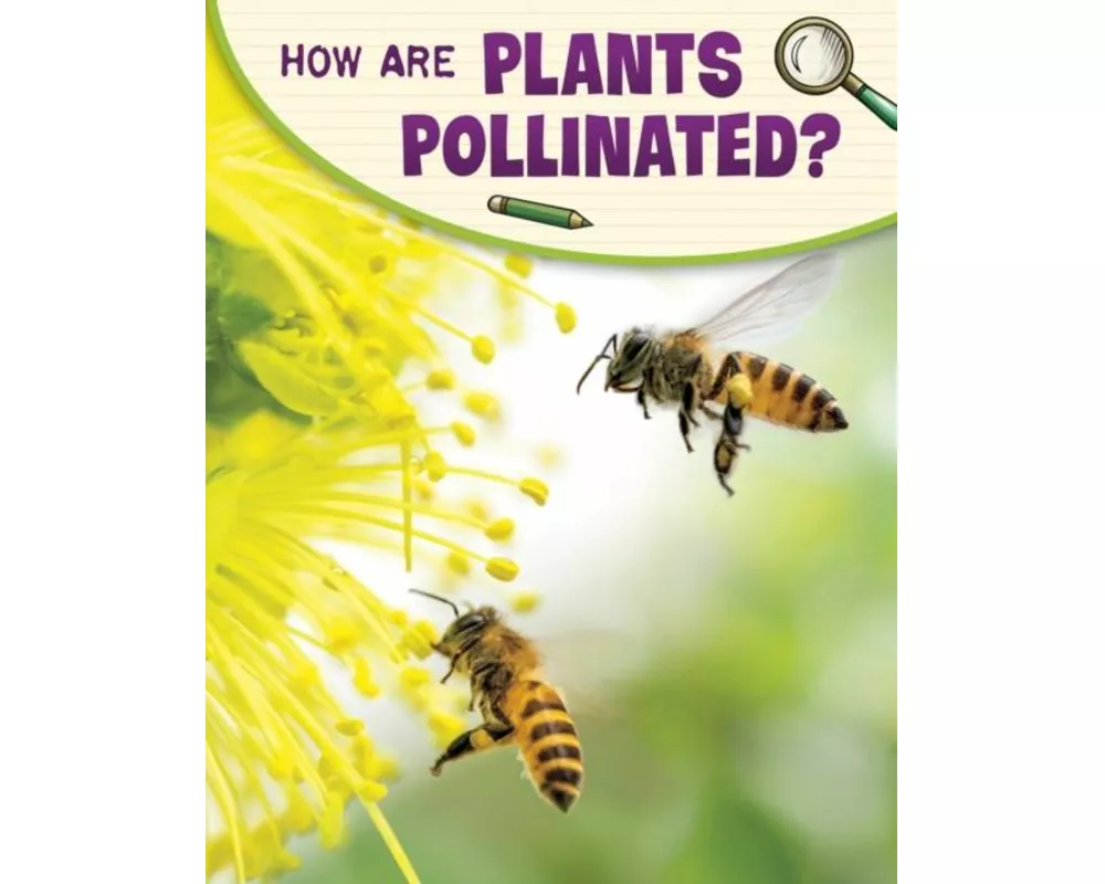 How Are Plants Pollinated?