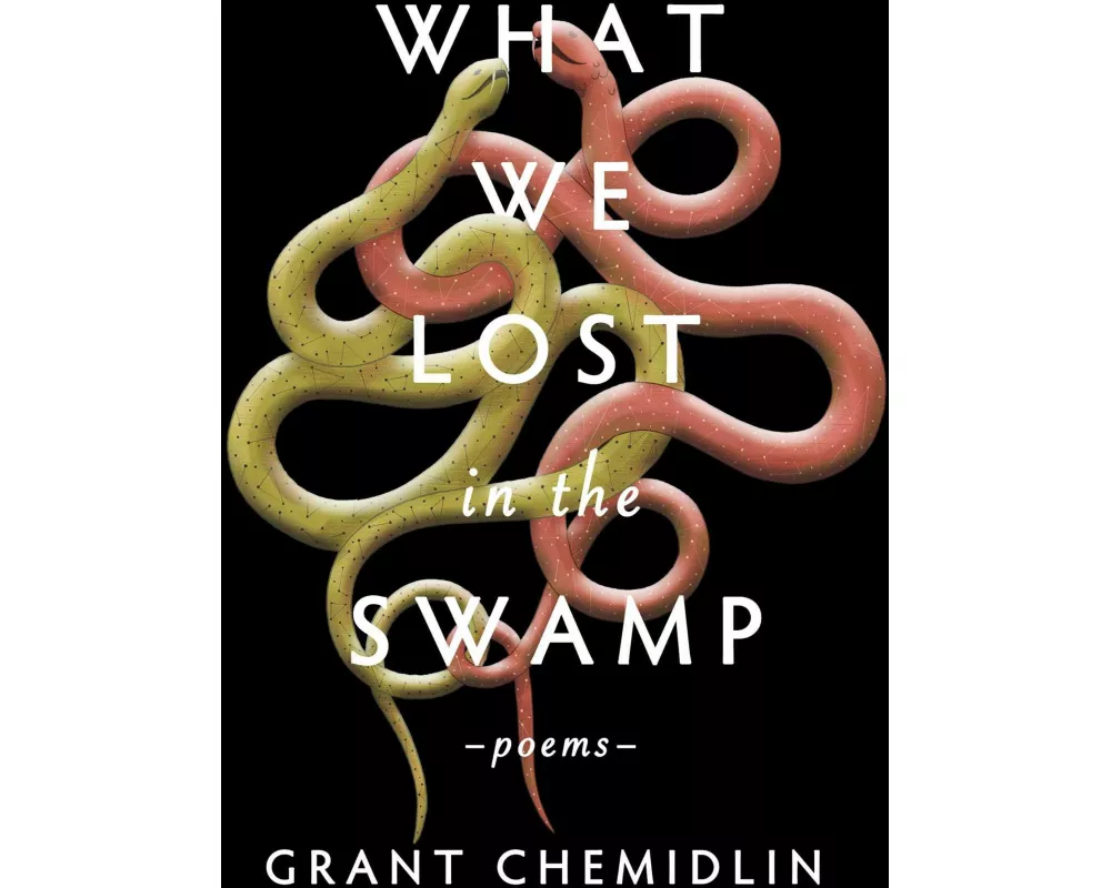 What We Lost in the Swamp