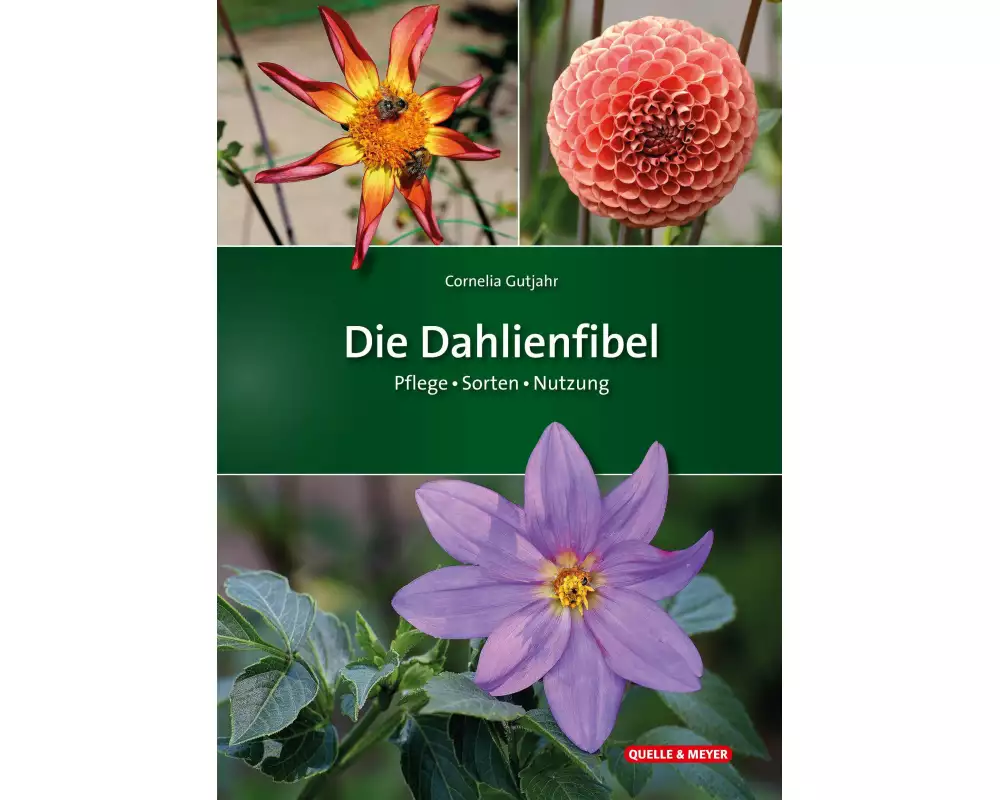 Die Dahlienfibel