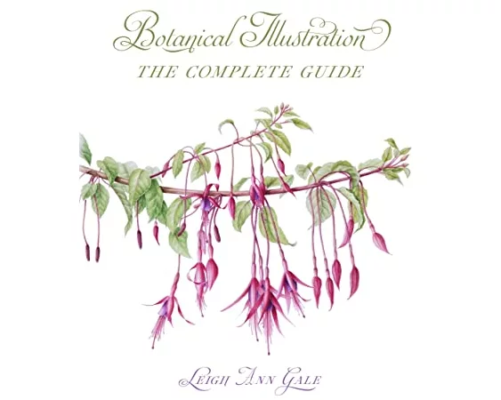 Botanical Illustration