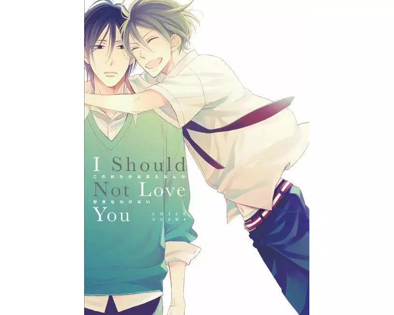 I Should Not Love You